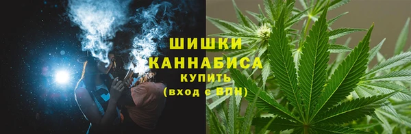 PSILOCYBIN Губаха