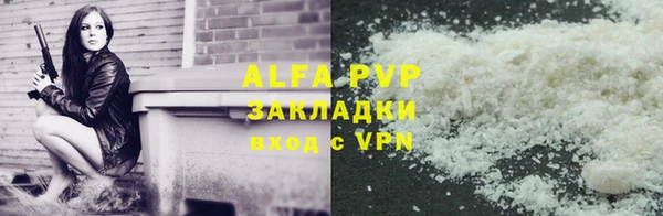 шишки Беломорск