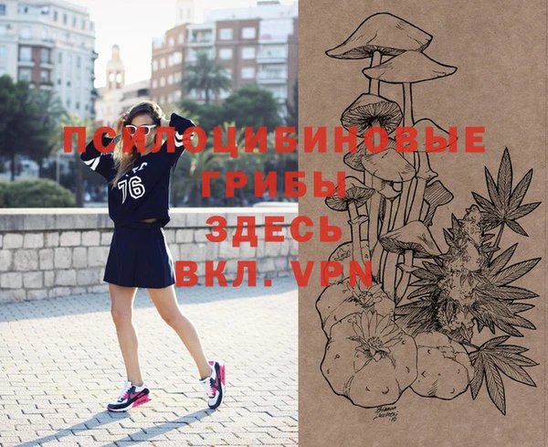 шишки Беломорск