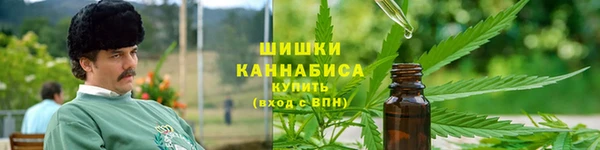 шишки Беломорск
