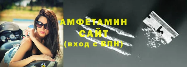 шишки Беломорск