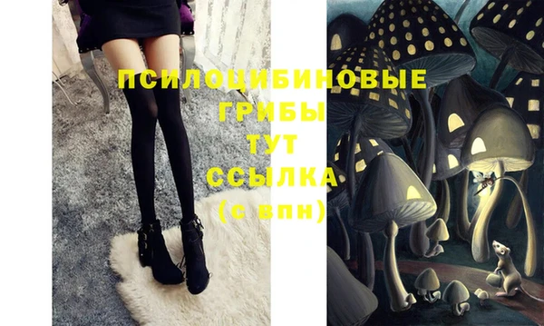 круглые Белокуриха