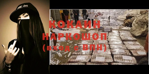 шишки Беломорск