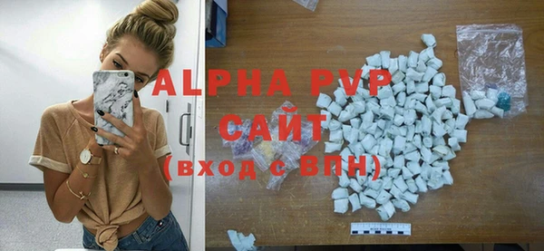 круглые Белокуриха