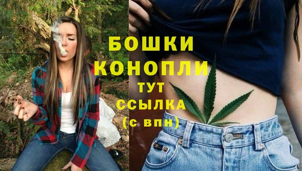 мяу мяу мука Грязовец
